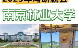 南京林业大学林业考研难度如何？