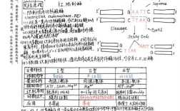 北京301生化考题考什么重点？