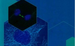 细胞生物学考博农科院