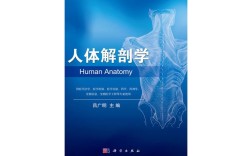 中山大学人体解剖学考博难不难？