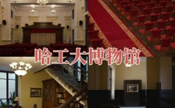 哈工大设计考博难不难？有何备考建议？