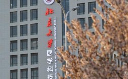 北大医学部药学考博难度如何？