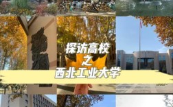 西工大考博组合数学难度究竟有多大？历年真题重点考什么？