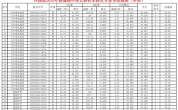 2025国考咸阳兴平招多少人？