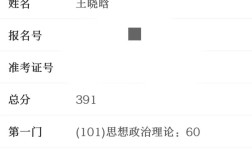 上海理工大学考研估分大概多少？