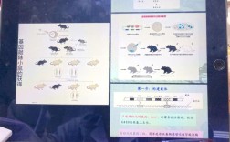 分子生物学考研考哪些核心科目？