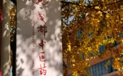 成都中医药大学中医考博有何报考要求？