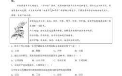 2025北中医考博试题难度如何？