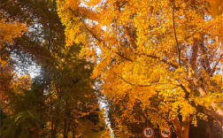 陕西师大世界史考博有何备考重点？