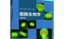 山东大学考博细胞和分子