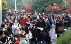 2025国考实际参加人数有多少？