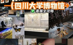 四川大学化工学院考博有何报考条件与流程？