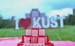 昆明理工研究生考博流程与条件有哪些？