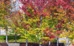 大连医科大学外科学考博如何准备？