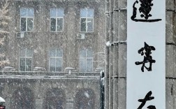 辽宁大学编导专业考研考什么？