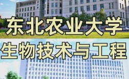 东北农业大学机械考研难不难？