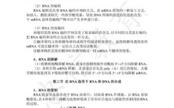 暨南大学生物化学考博