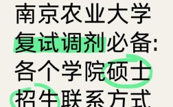 这里为您生成一个20-30字左右的疑问标题，，南农大考研调剂竞争激烈吗？低分考生现在准备还有上岸希望吗？