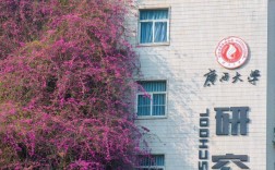 广西大学生态学考博如何准备？