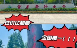 重庆医科大学考博普外，如何准备更高效？