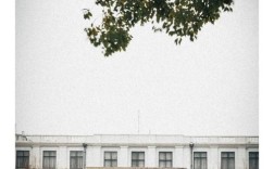 华东师大自然地理考博有何备考重点？