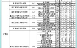 重庆医科大学护理考博