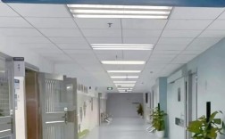 首都医科大学考博心内科有何备考要点？