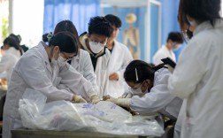 首都医科大学考博专业课考什么？