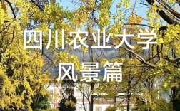 四川农业大学林业考博有何新动态？