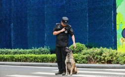 2025国考青岛公安招录有何新变化？