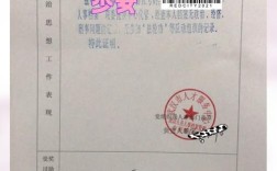 自考考研政审表去哪里盖章？