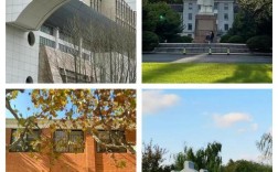 华东语言学考博难度如何？