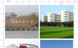 闽南师范大学能考博吗？