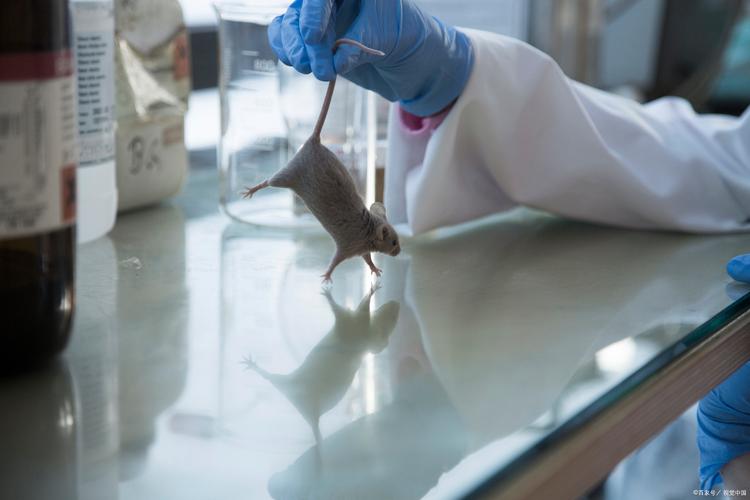 上海交大动物科学专业考博有何新要求？-图1