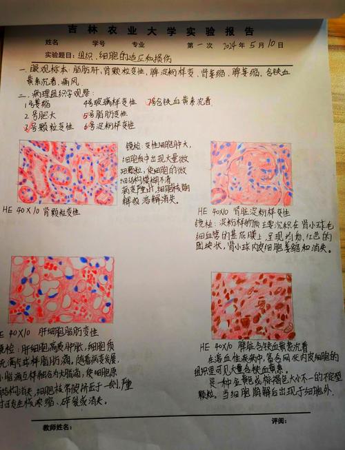 第三军医大学病理学考博难不难？-图1