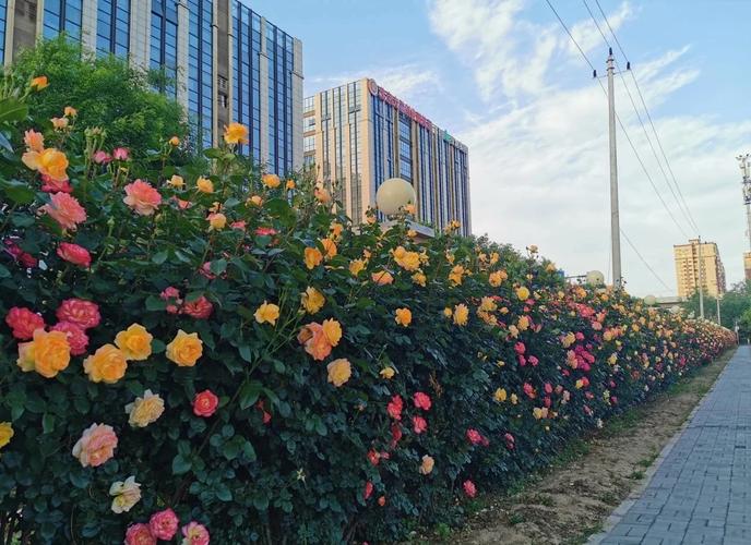 中国社会科学院历史考博难不难?-图1 中国社会科学院历史考博难不难?-图1