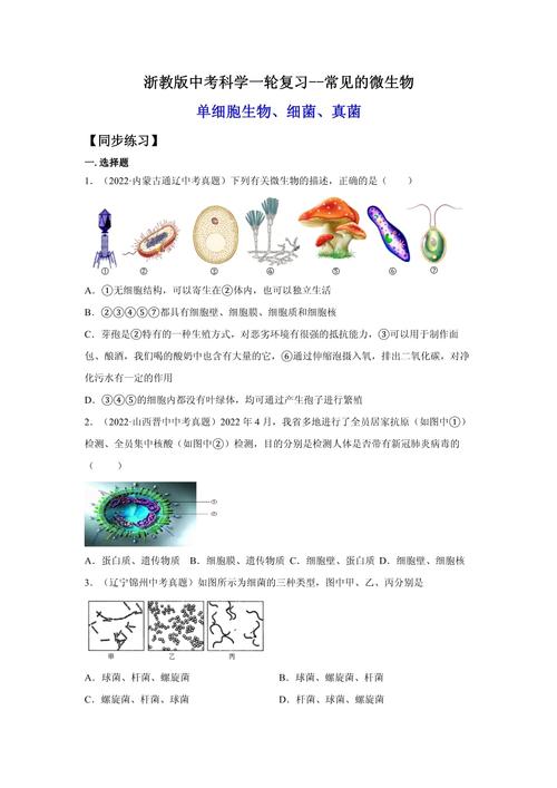 中科院考博微生物学试题难度如何？-图2