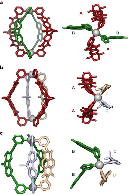 中山大学考博分子生物学考什么？-图2
