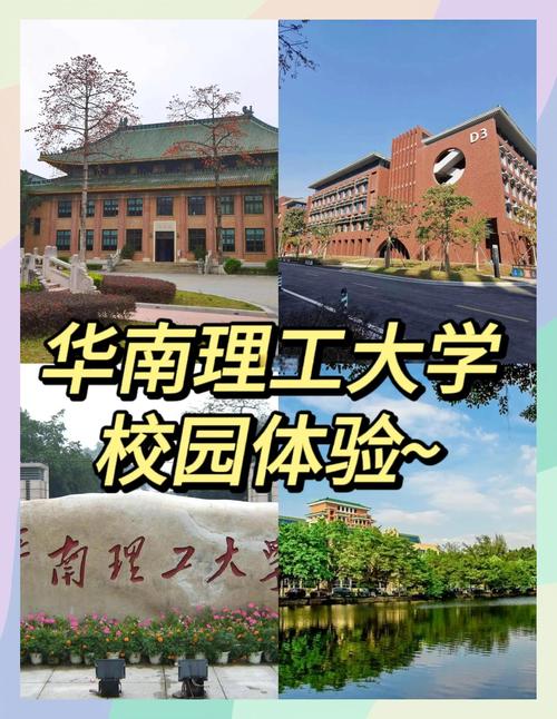 华南理工考博论坛，考博经验如何高效获取？-图2