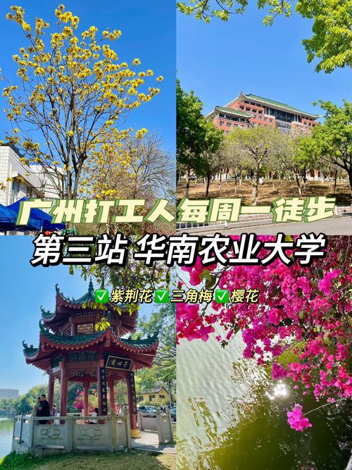 华南农大风景园林考研难不难?-图3 华南农大风景园林考研难不难?-图3