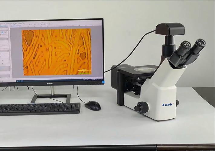 中科院微生物所考博怎么准备?-图3 中科院微生物所考博怎么准备?-图3