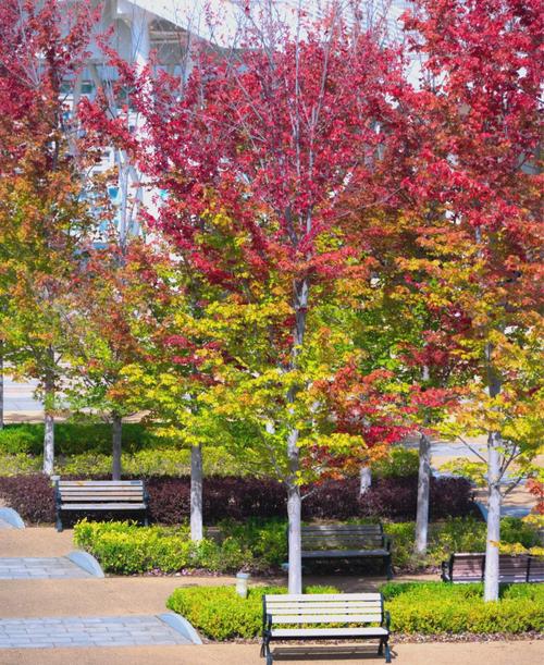 大连医科大学外科学考博如何准备?-图1 大连医科大学外科学考博如何准备?-图1