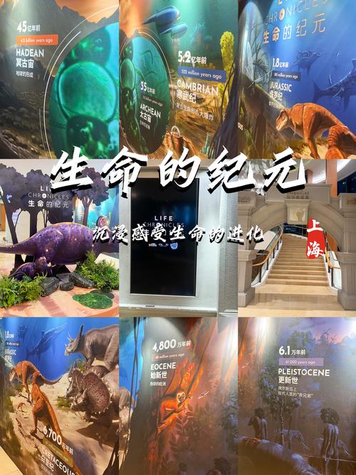 中国上海生命科学院考博如何准备？-图2