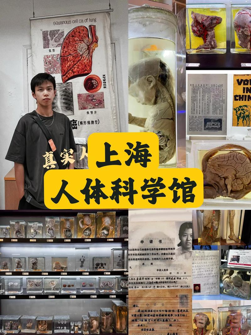 中国上海生命科学院考博如何准备?-图3 中国上海生命科学院考博如何准备?-图3