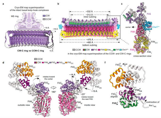上海交大植物病理学考博有何备考要点？-图2