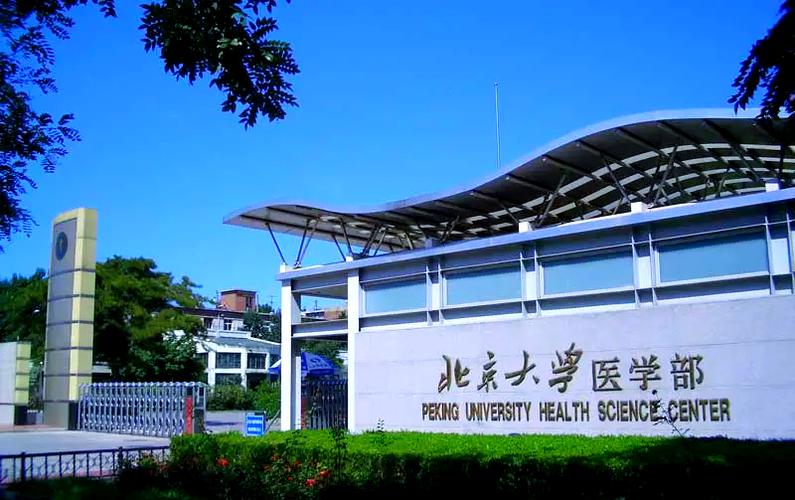 北大基础医学院考博有何关键要点?-图1 北大基础医学院考博有何关键要点?-图1