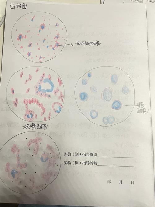 中山大学病原生物学考博有何备考要点?-图2 中山大学病原生物学考博有何备考要点?-图2