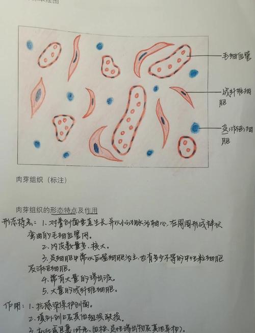 昆明医科大学考博病理学难度如何?-图2 昆明医科大学考博病理学难度如何?-图2
