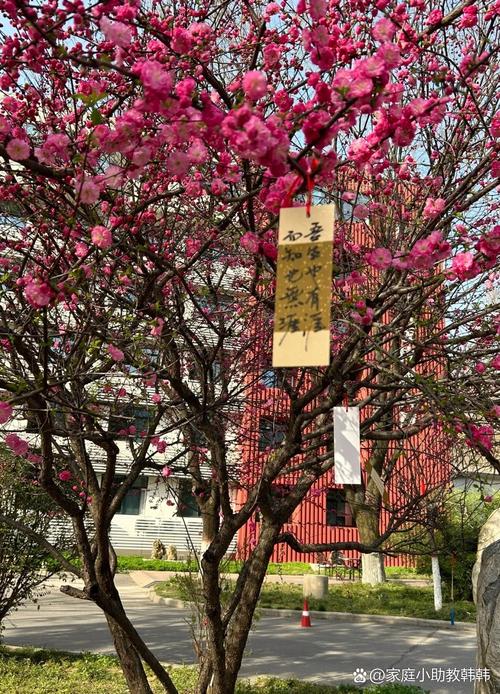 陕师大文艺学考博，竞争激烈吗？-图2