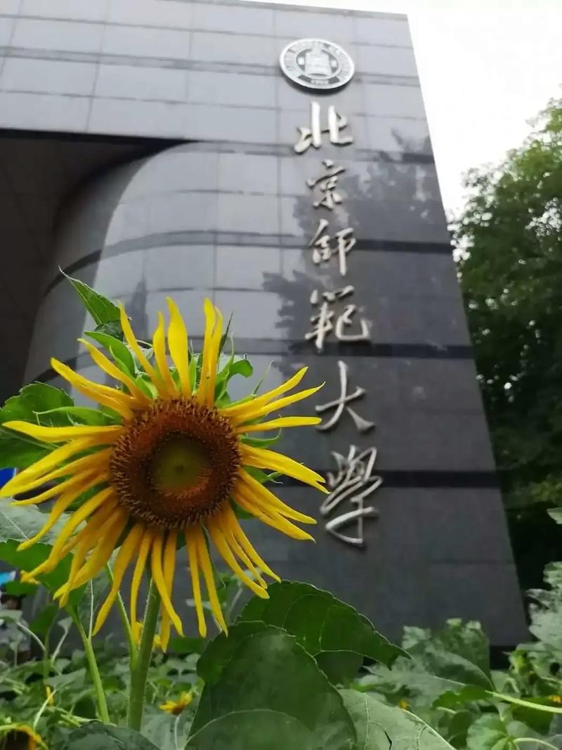 北师大地理学考博如何准备?-图3 北师大地理学考博如何准备?-图3